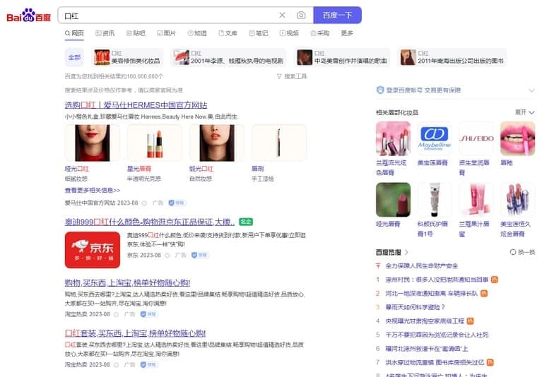 Analyzing Data Baidu SERPs