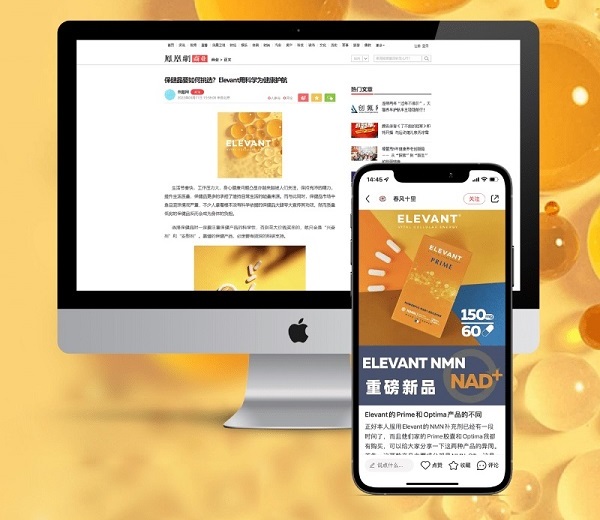 SDG’s work with ELEVANT®: Censored Keywords Moderation